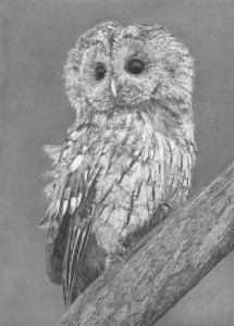 June 19 Gibb_ArtFest Fort Myers Merit